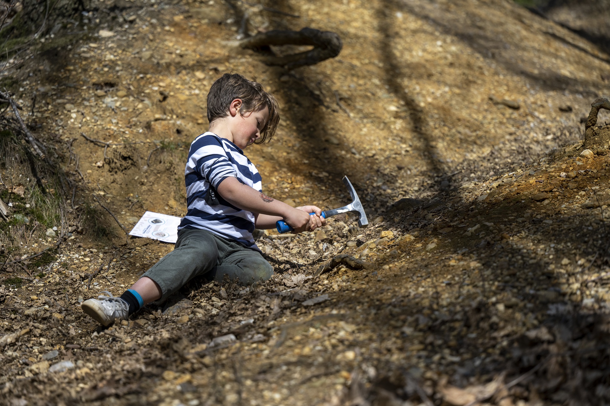 Fossielen - Kattevennen