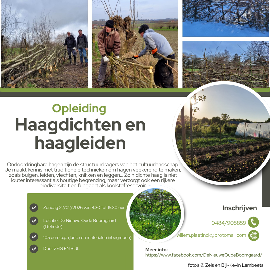 Workshop haagdichten