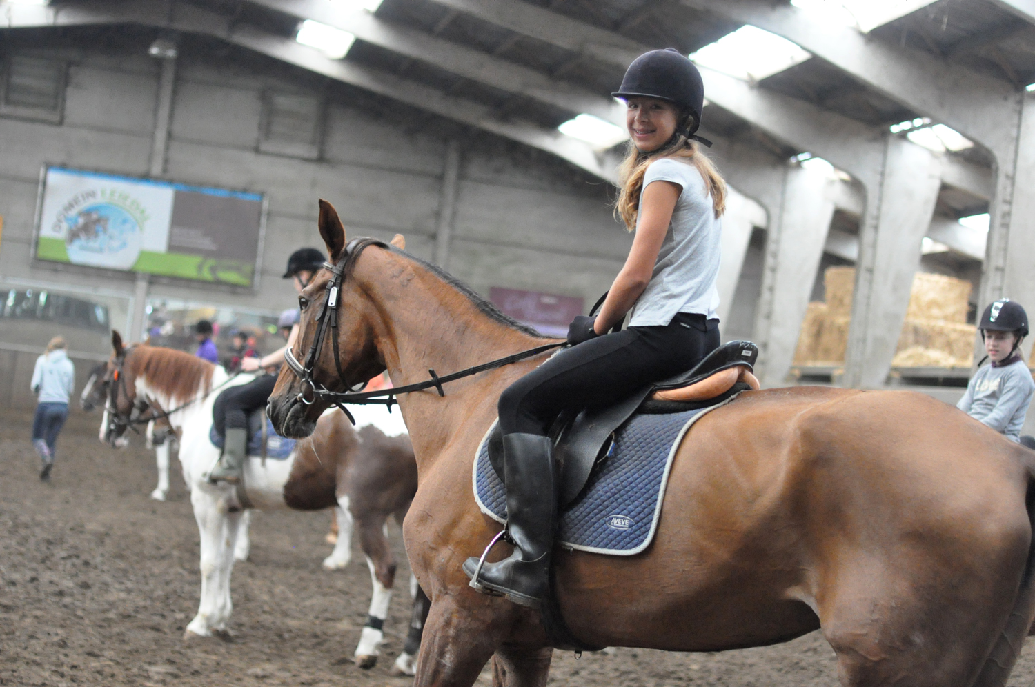 paardrijden bissegem