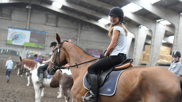 paardrijden bissegem