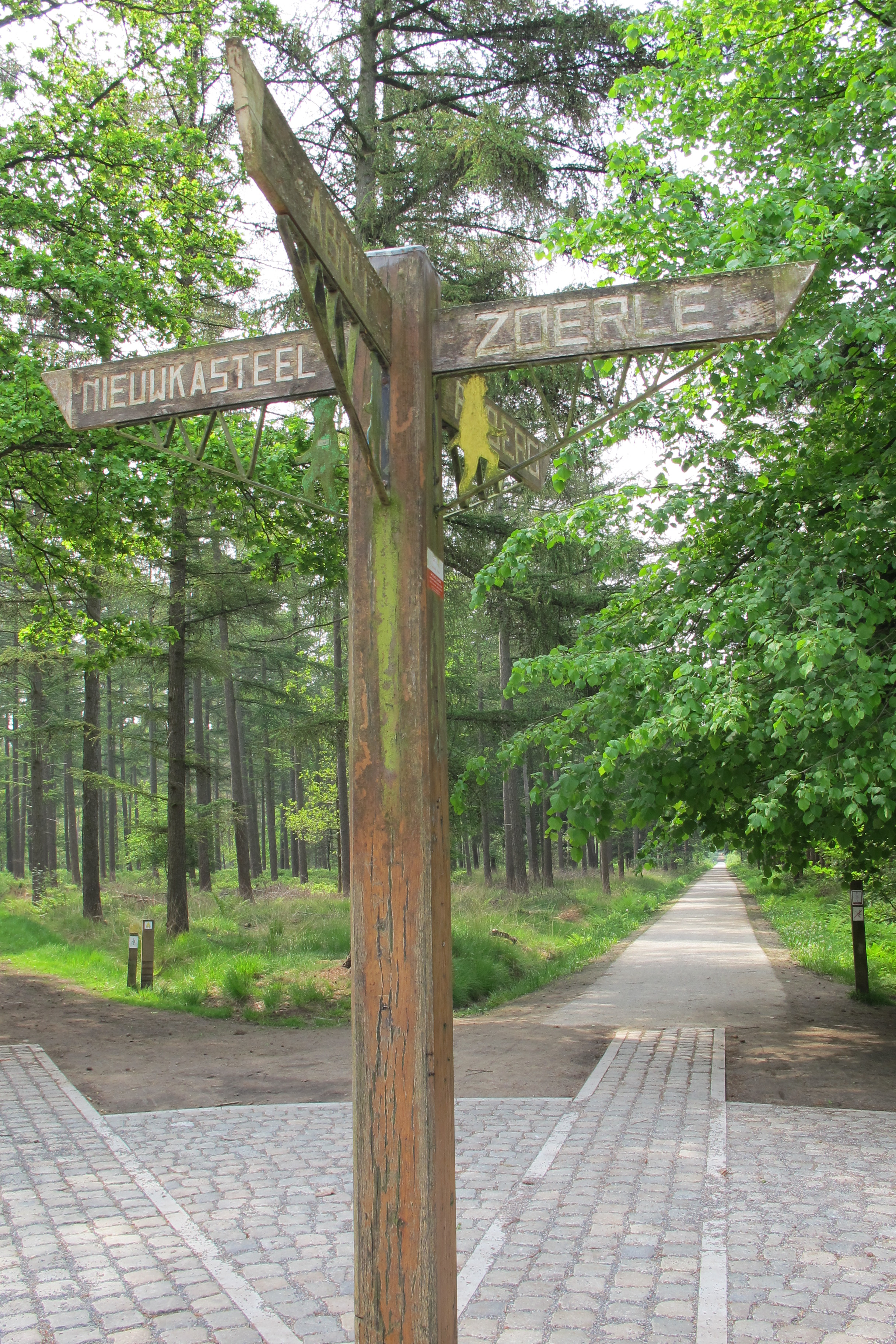 Wandelen op Wieltjes