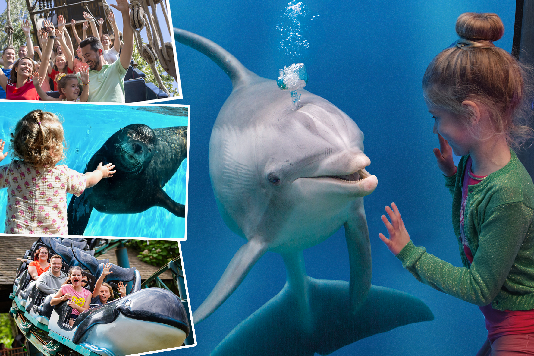 Boudewijn Seapark Brugge: pretpark, dierentuin én waterpark
