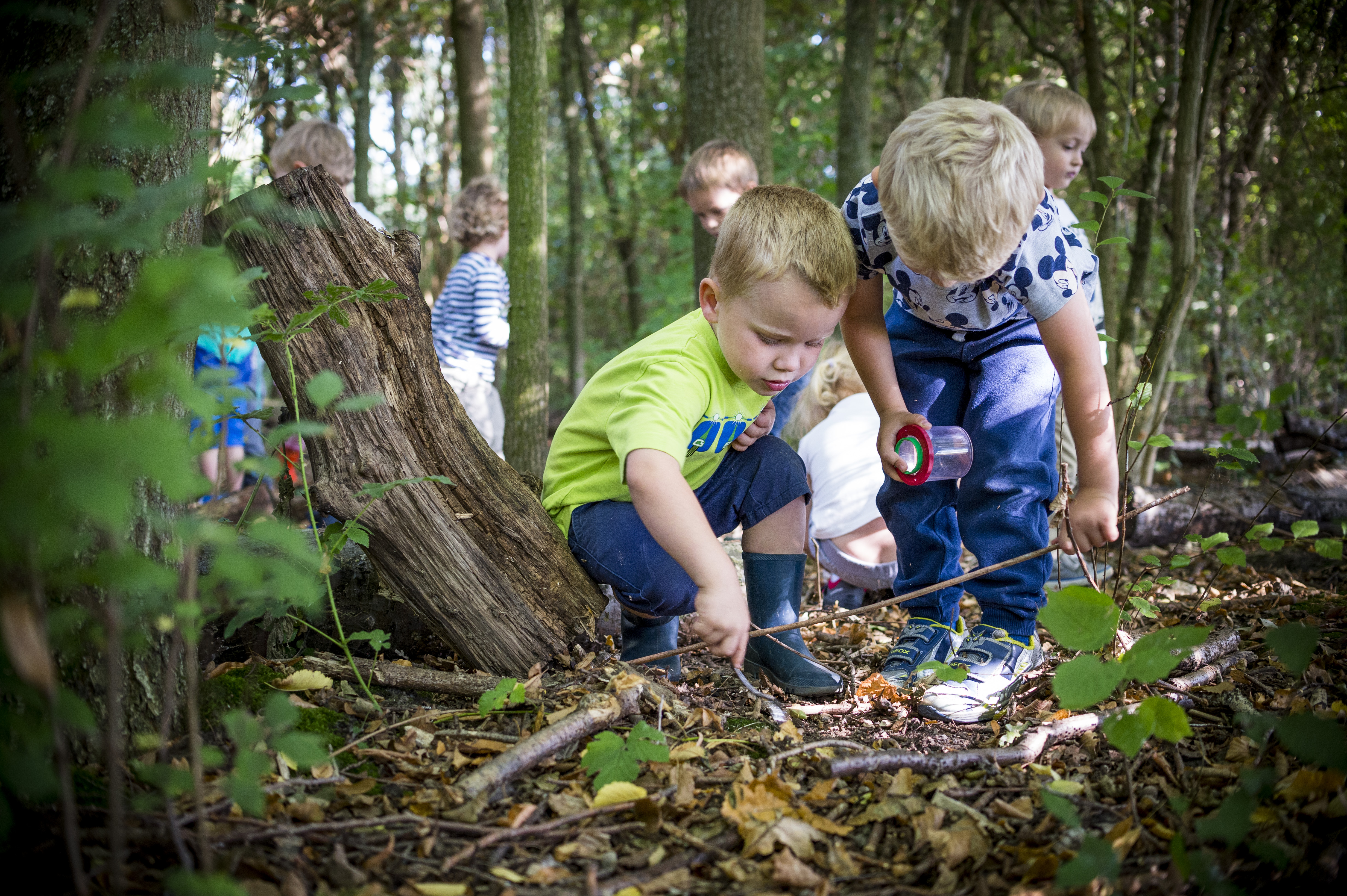 kleuterkamp Het Vinne