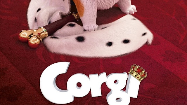 Corgi