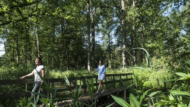 Wandelaars op brug