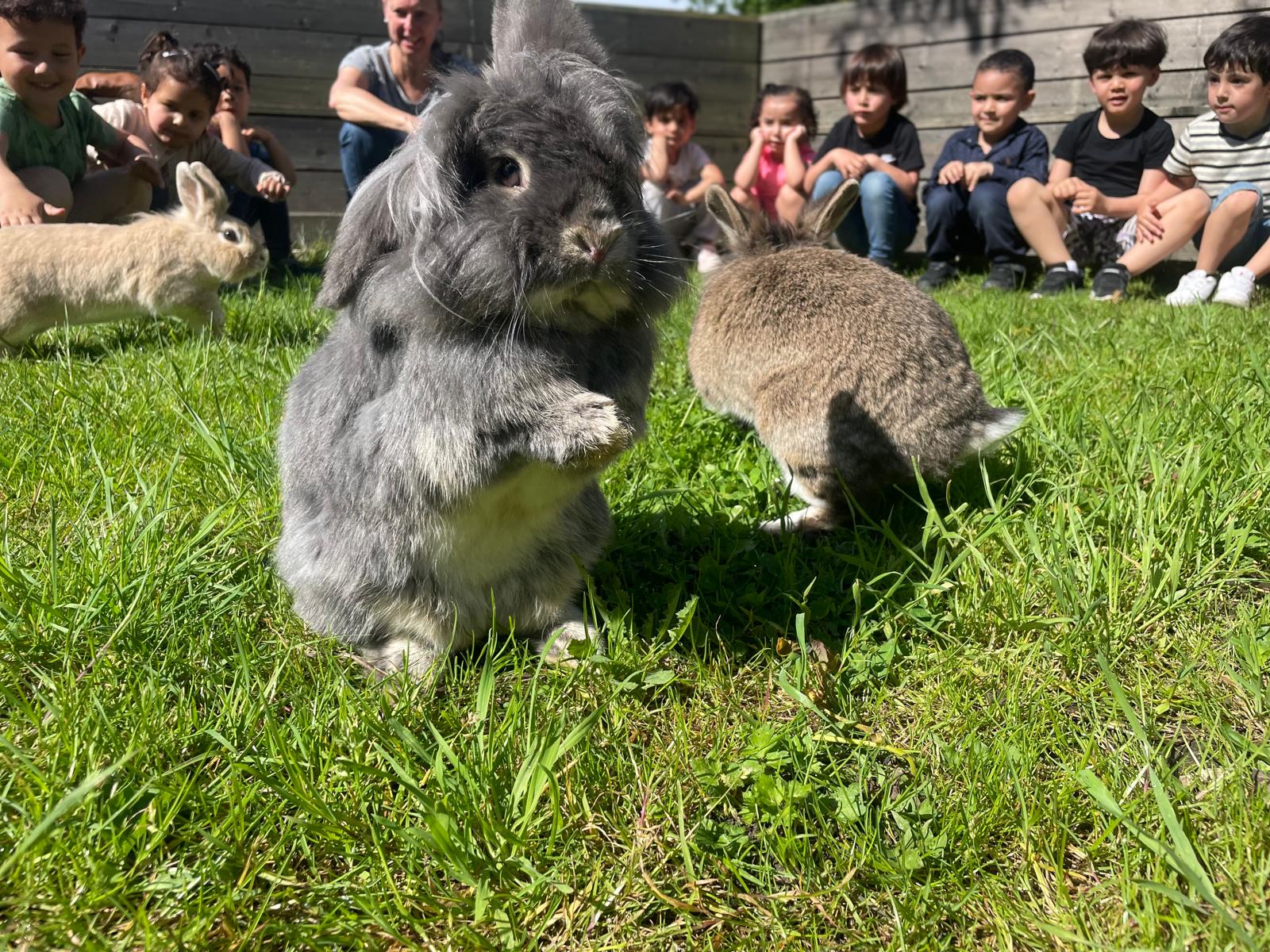 Kinderboerderij Wilrijk