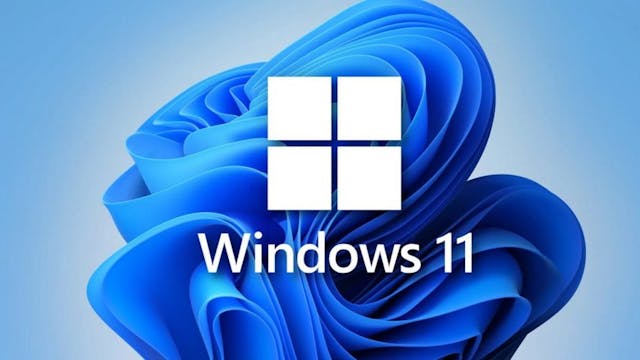 Windows 11