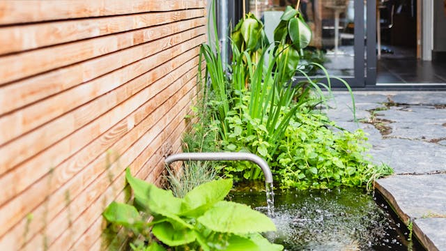 Waterpartij in tuin.