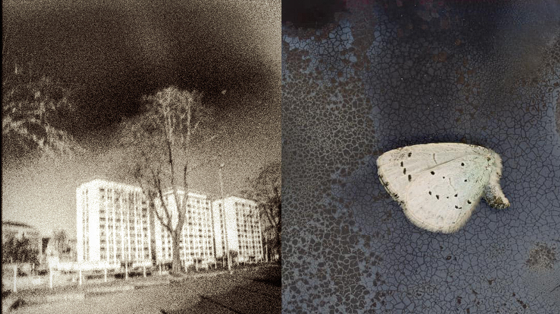 Nenia - Katharina Smets & Revue Blanche