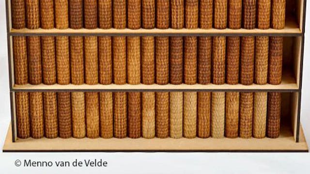 Bijbel voor beginners