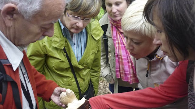 Rangeractiviteit - De herfst in geuren en kleuren