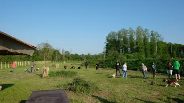 Hondenlosloopweide Rotselaar