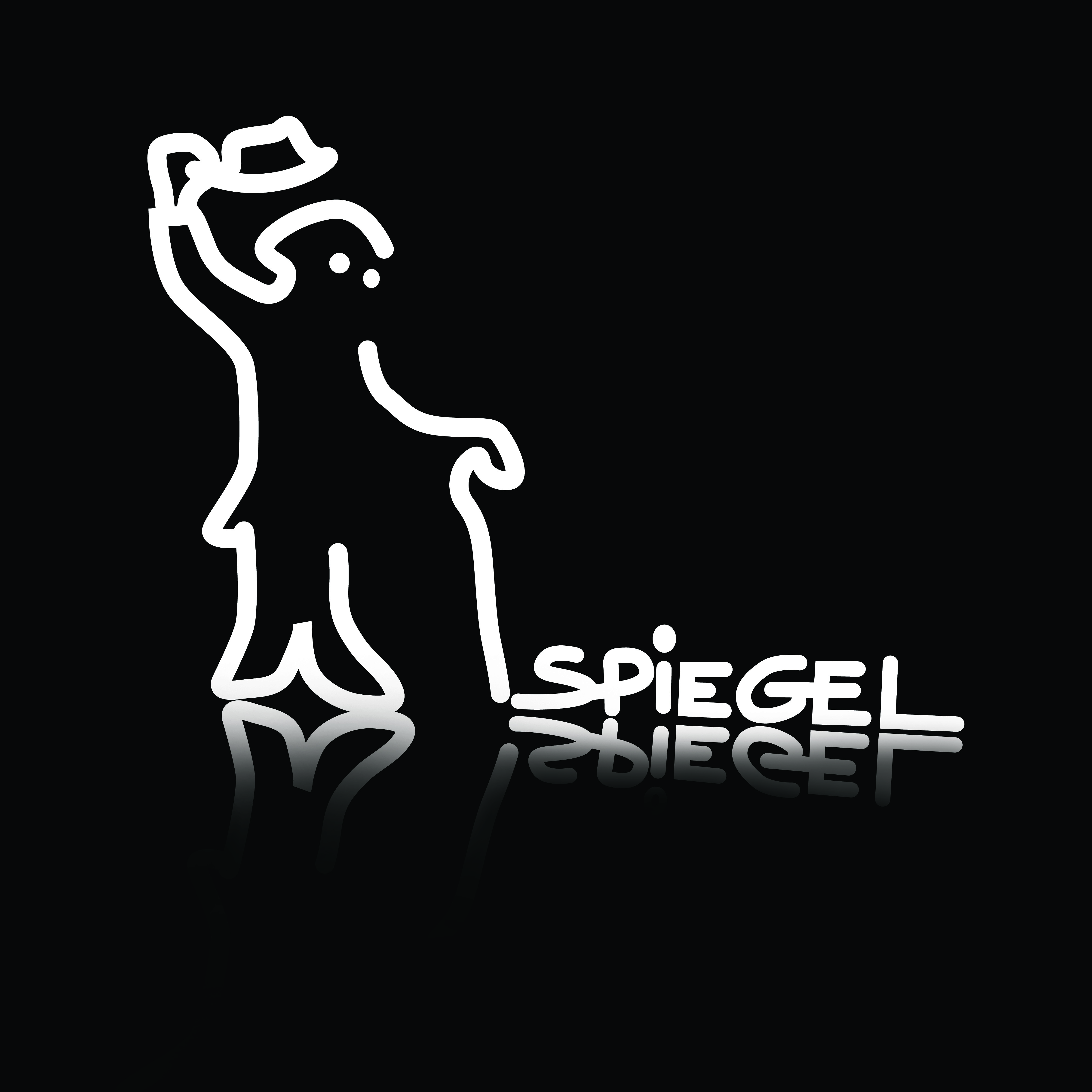 Toneelgezelschap Spiegel