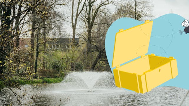 Schatten van Vlieg - fotozoektocht Focus4Art