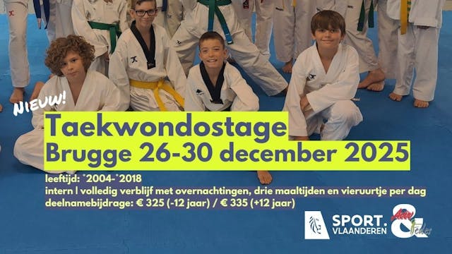 Taekwondostage