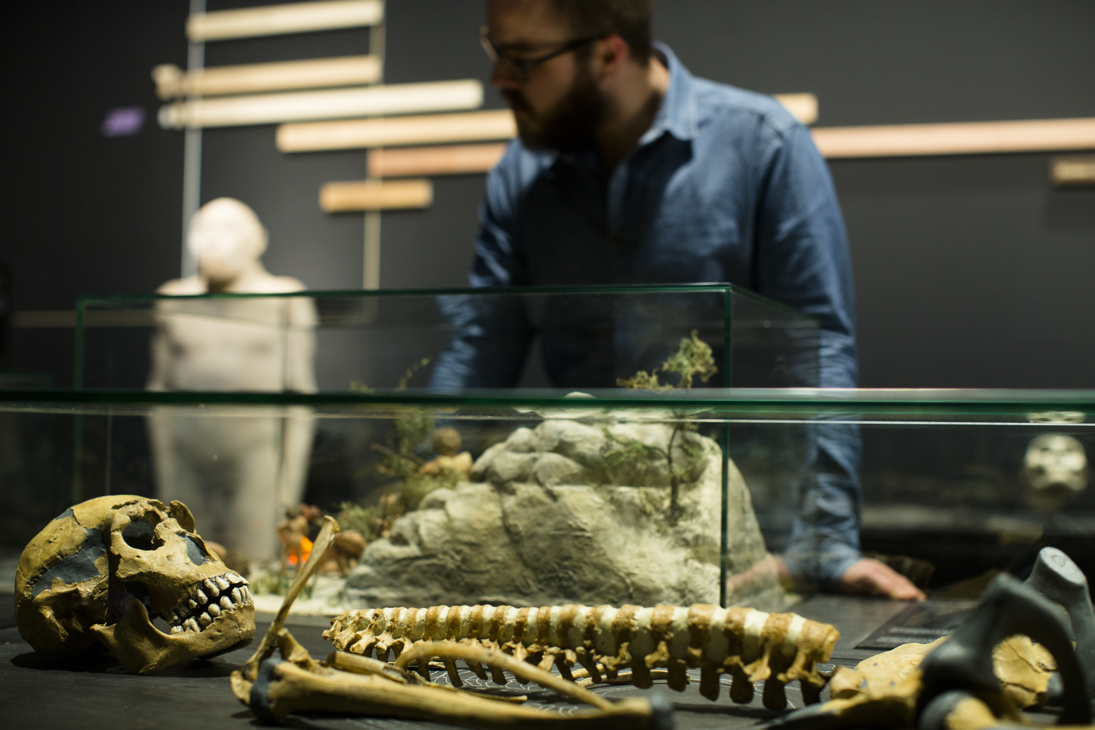 De Galerij van de Mens –  Onze evolutie, ons lichaam