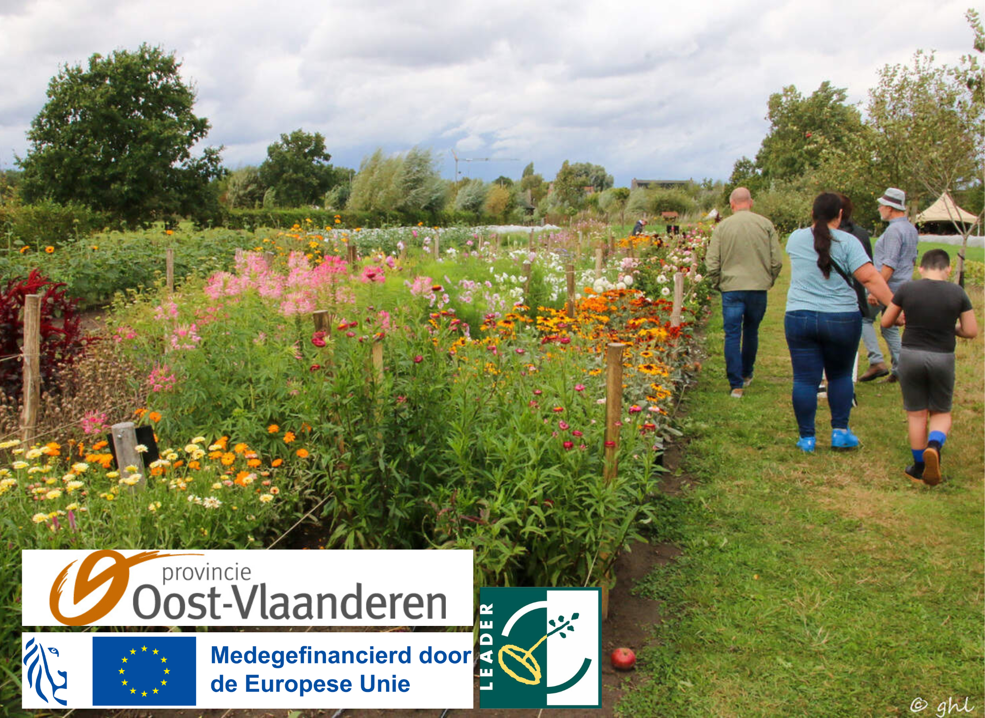 De Landbouwbrigades bij 't Groenselveld