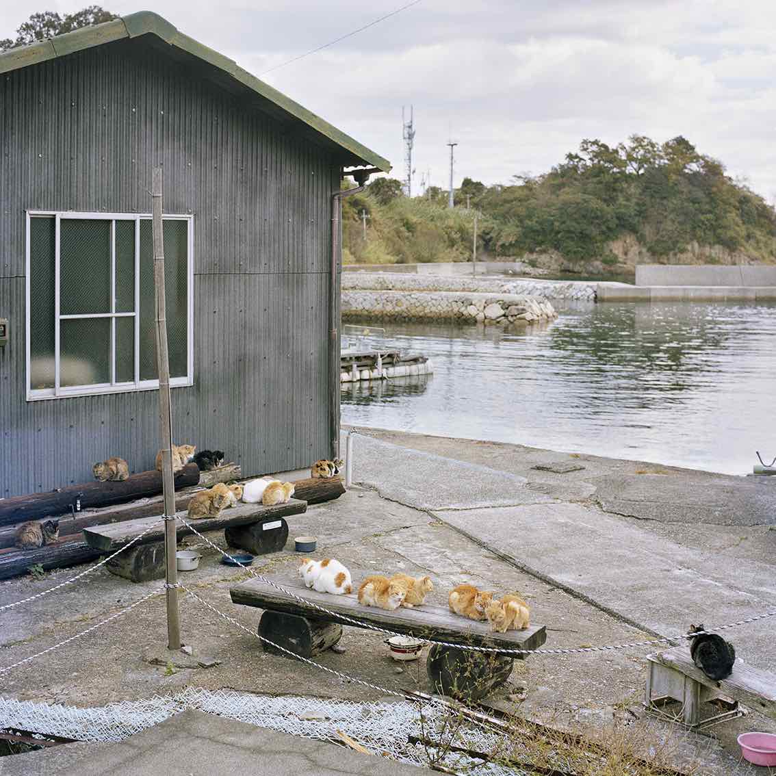 Une heure – une oeuvre : Katherine Longly