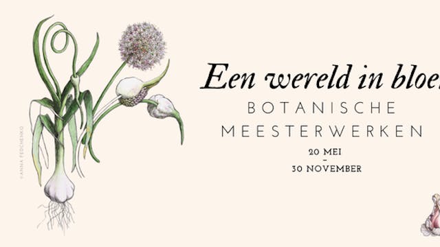 Visual Expo: Een wereld in bloei