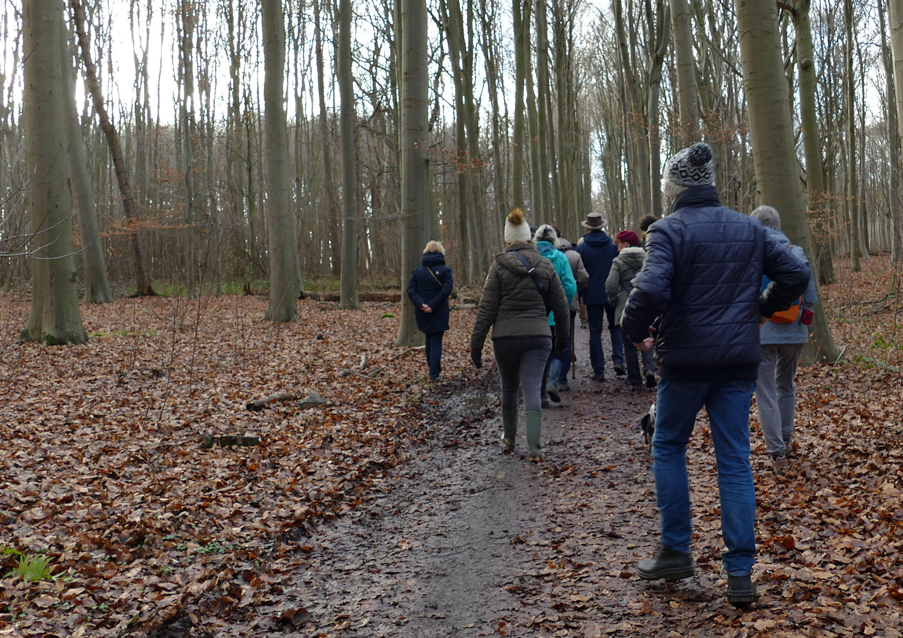 Frisse-Neuswandeling