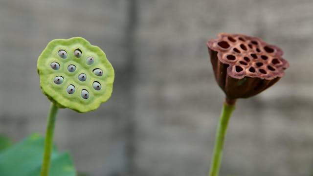 positief kijken naar jezelf