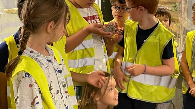 Archeologiekamp: Sprekende Stenen