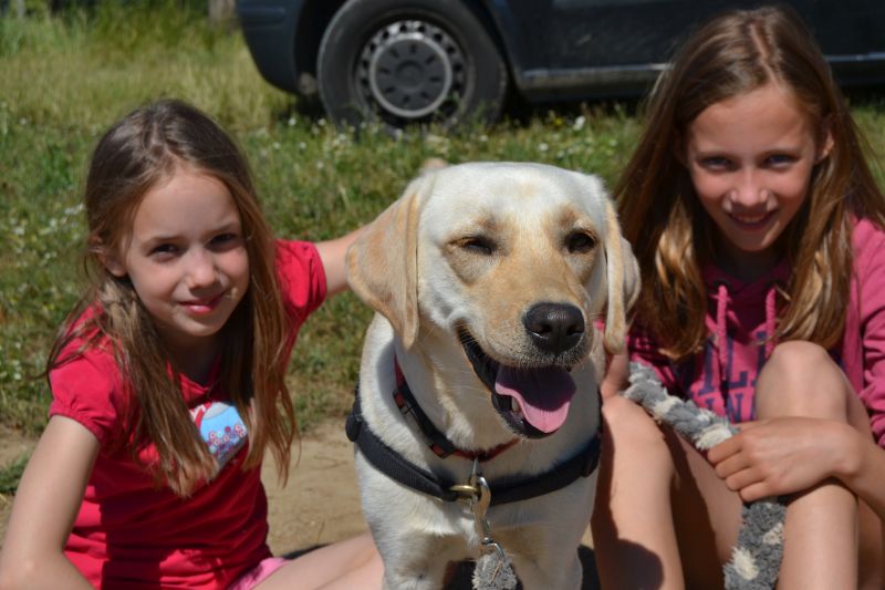 Activak jeugdvakanties – Hondenkamp
