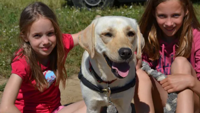 Activak jeugdvakanties – Hondenkamp