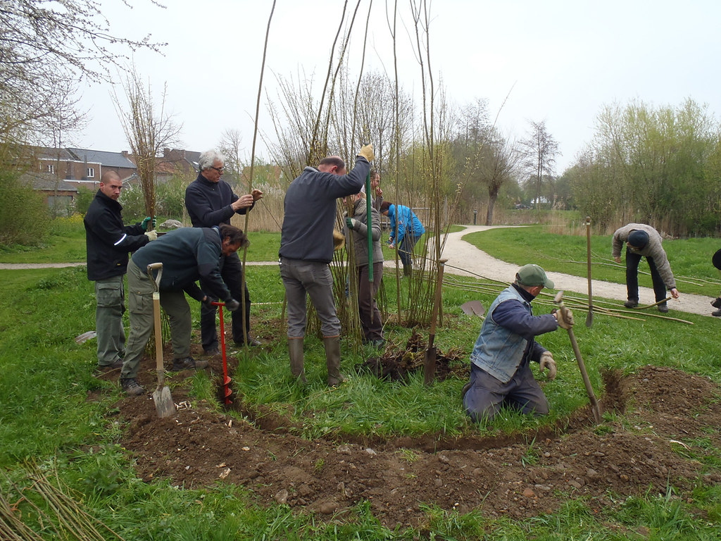 Bijzondere wilgenconstructies bouwen