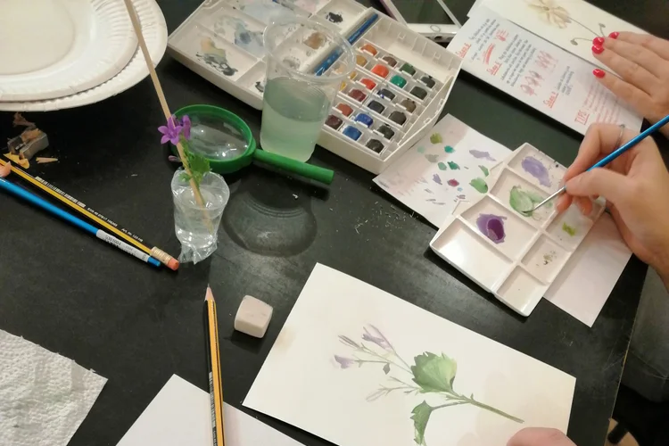Botanische aquarel