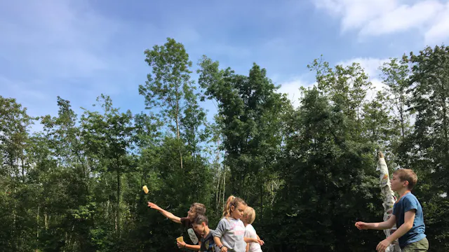 Groen geweld (2014-2016)