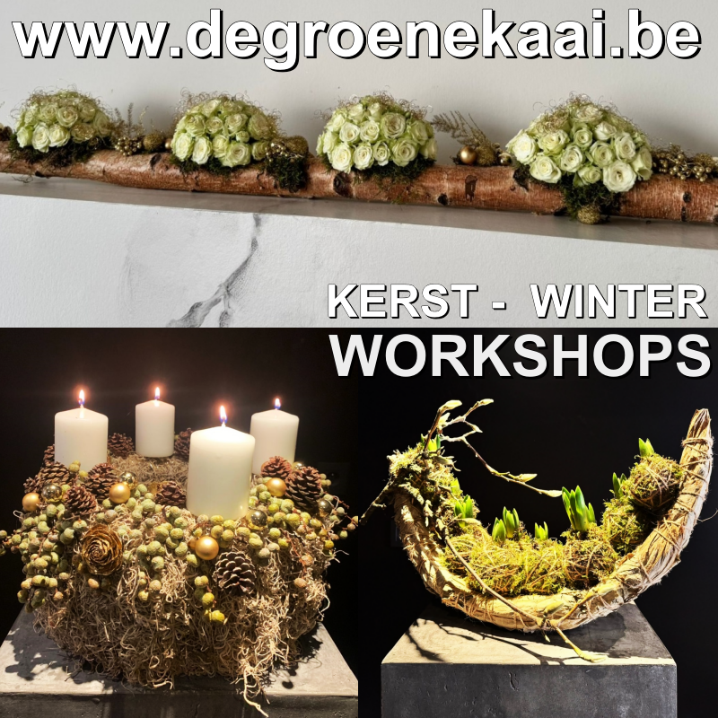 Kerst workshops de groene kaai