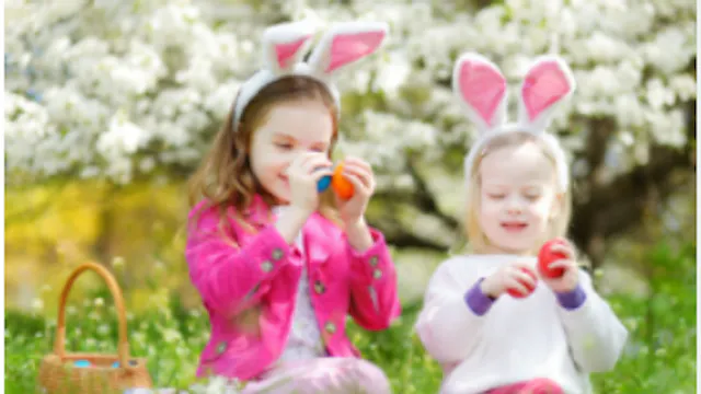 Image for gzbd activity