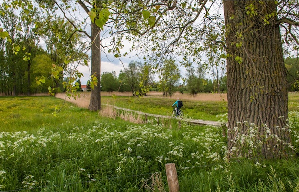 Fietsen doorheen het natuurgebied "Vallei van de Zeverenbeek"