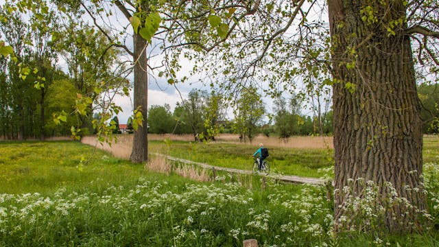 Fietsen doorheen het natuurgebied "Vallei van de Zeverenbeek"