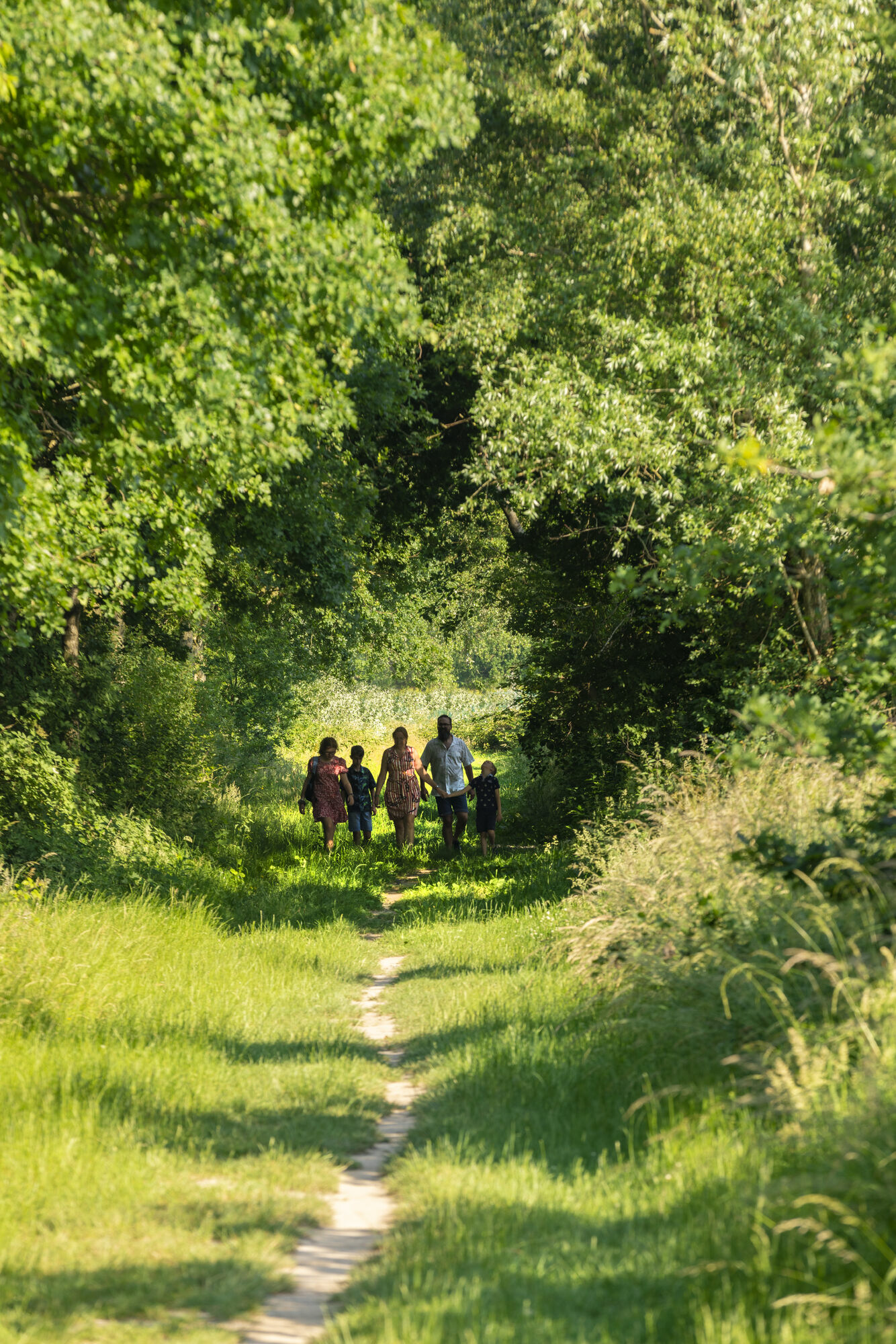 Mythische bomenwandeling