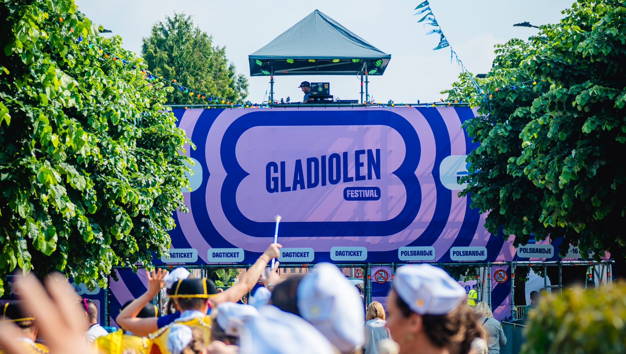 Gladiolen 2025