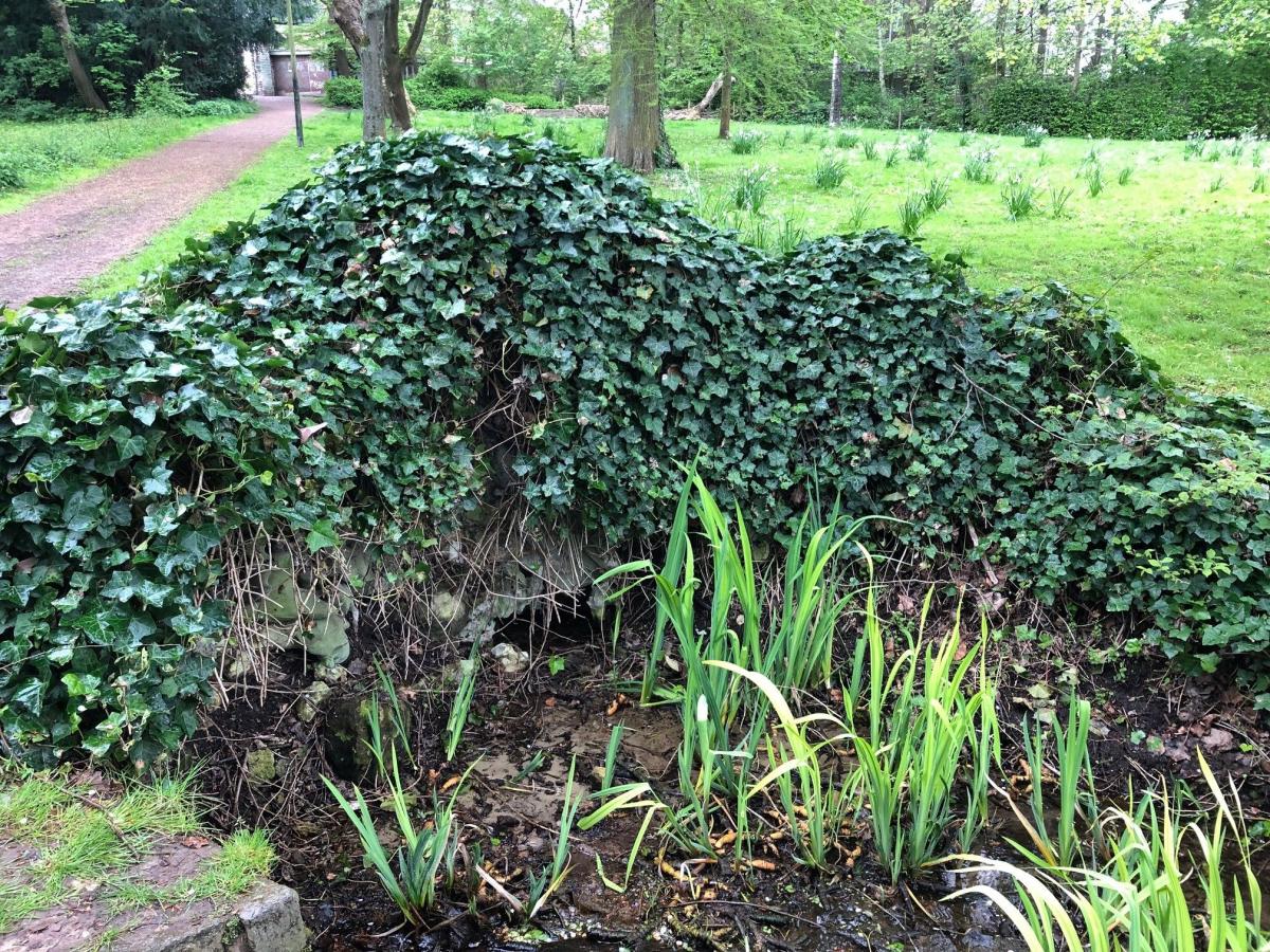 De Margabron verscholen onder het groen, beeld van voor de werken