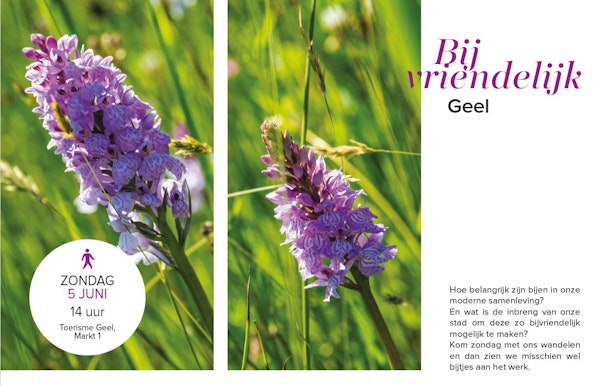 Op stap met de gids: Bijvriendelijk Geel
