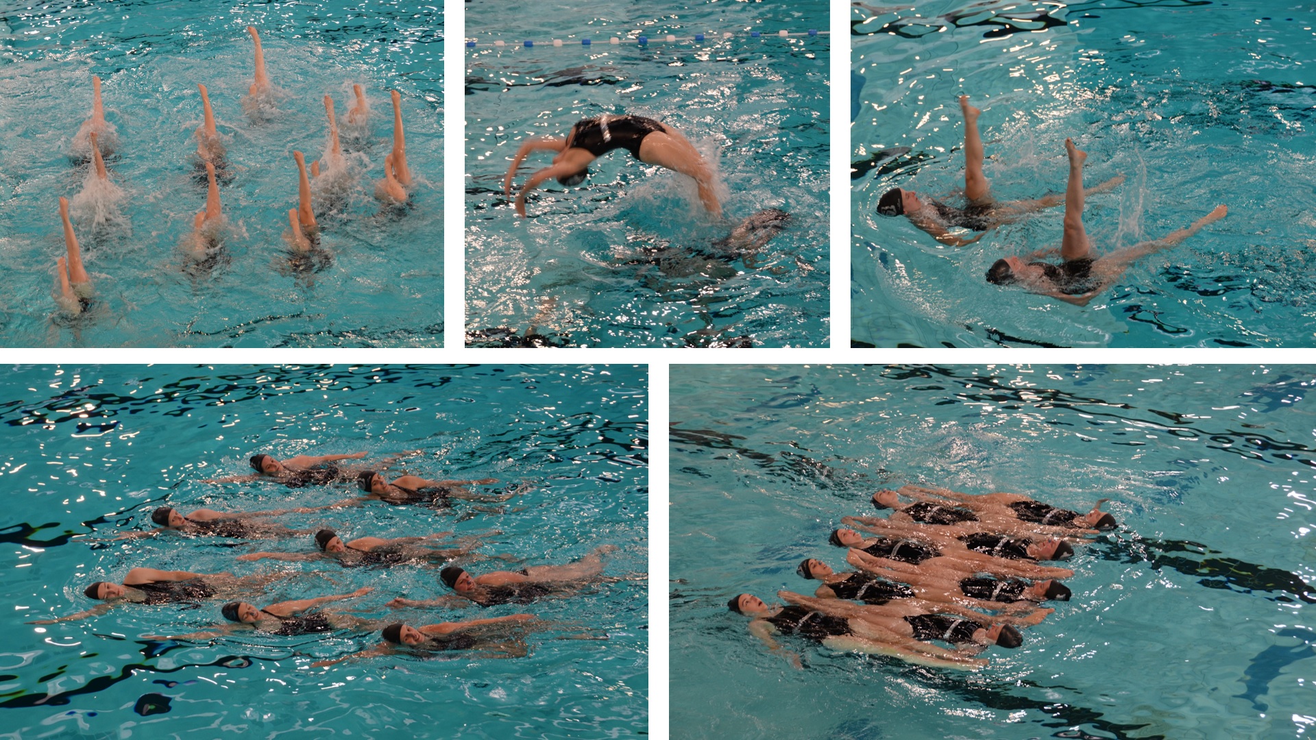 Toonmoment Synchrowave