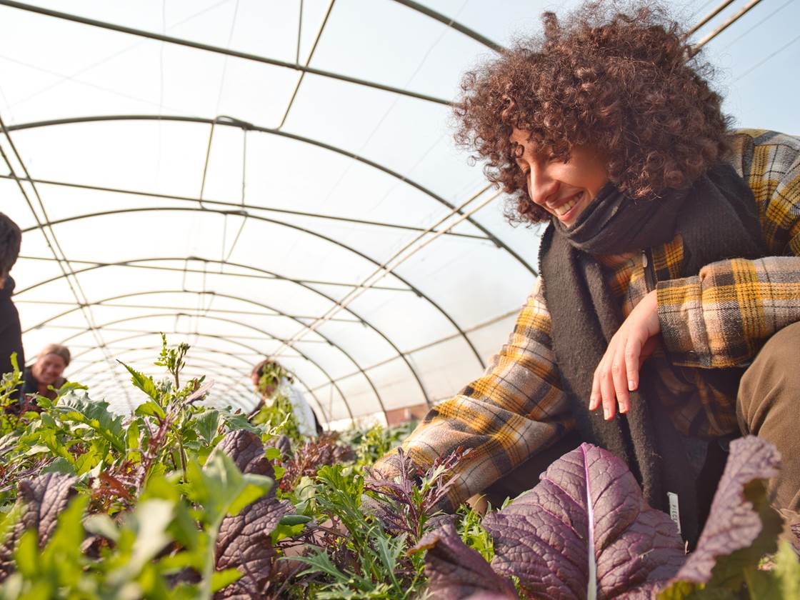 Met de handen in de aarde