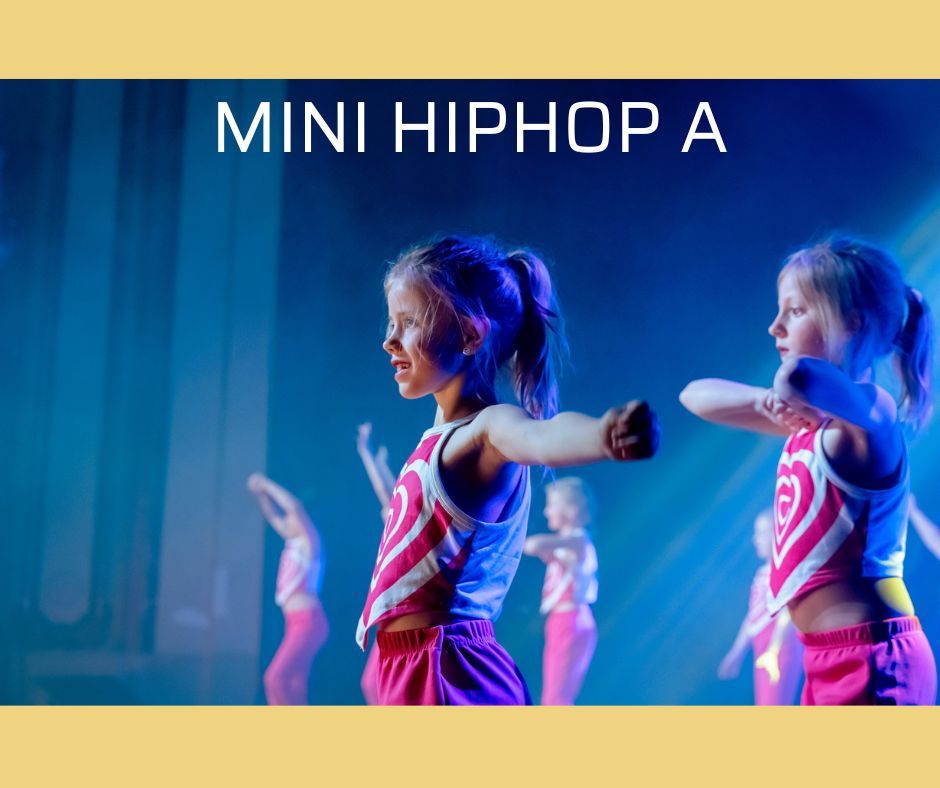 Mini Hiphop A algemeen website.jpg
