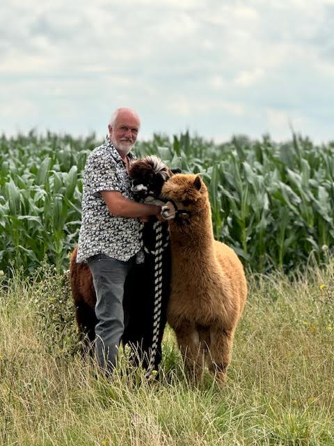 alpacawandelingen