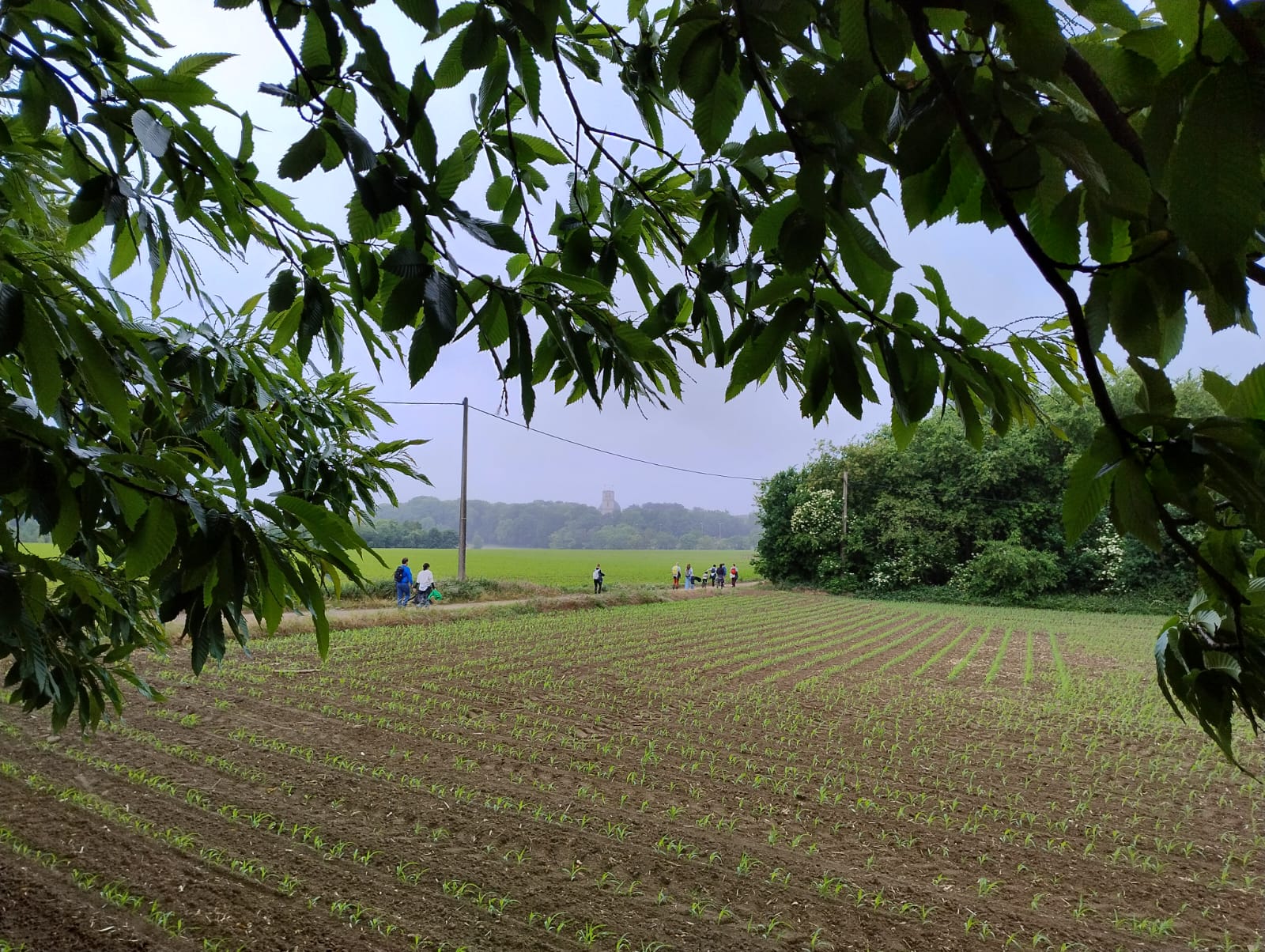 Langs pelgrimswegen vanuit Diest