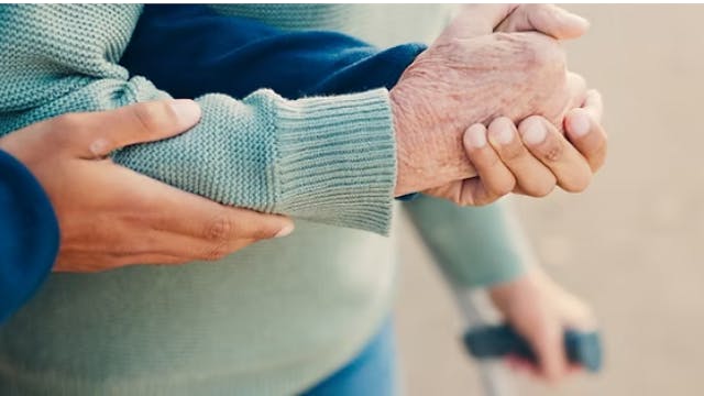 vzw Zilveren Schakel