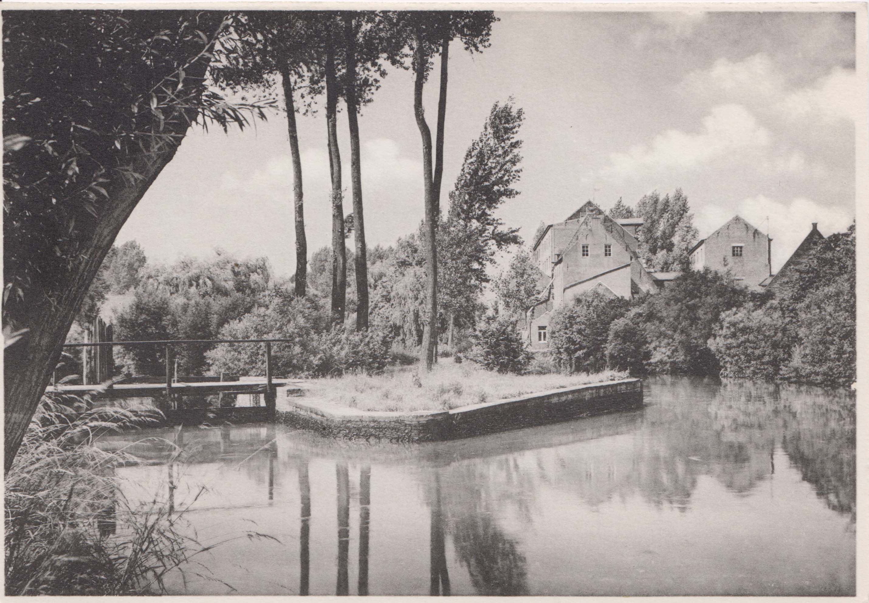 Postkaart met zicht op molen van Rotselaar.