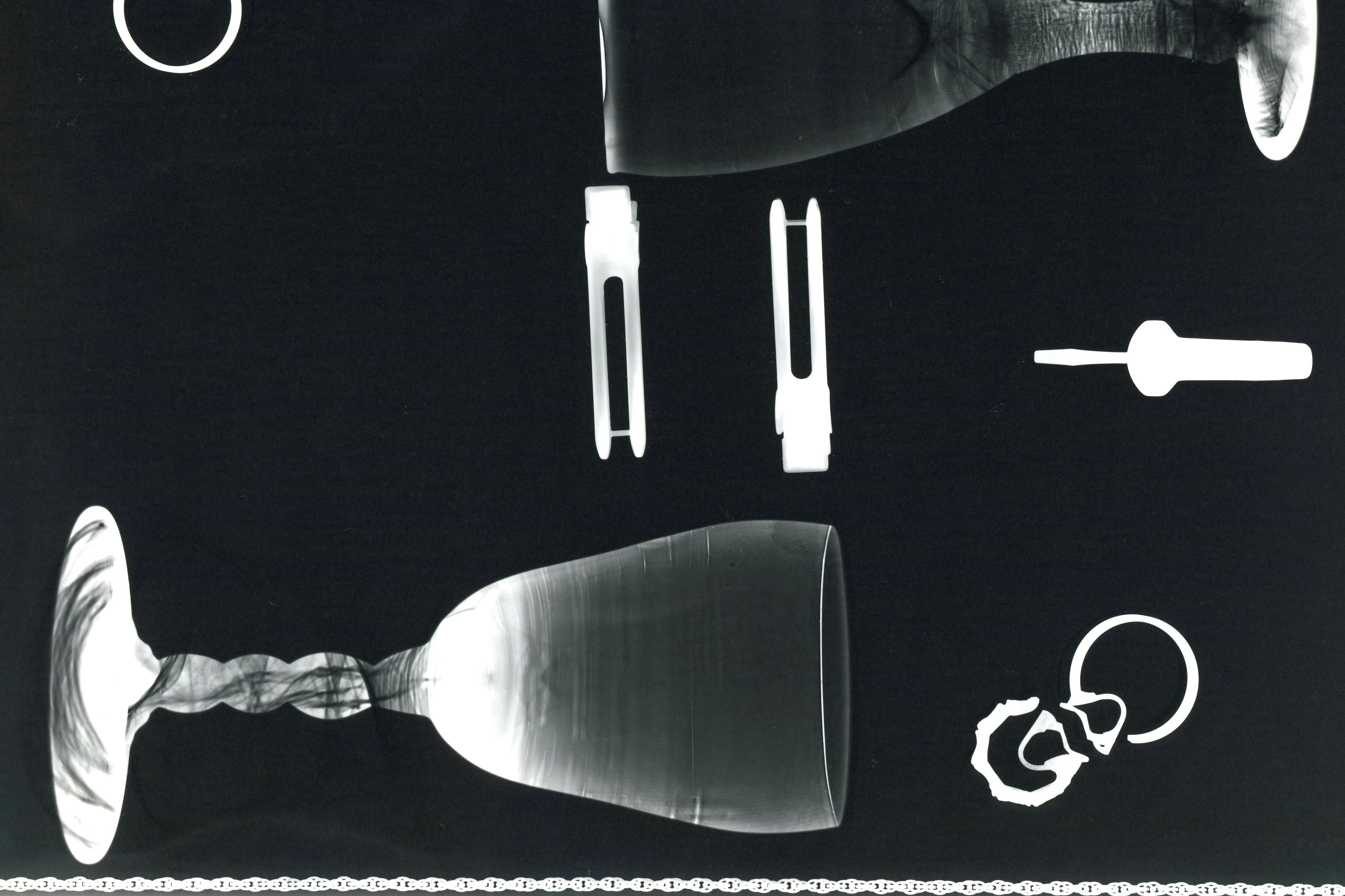 Fotogrammen: fotografie zonder camera