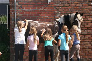 KINDEREN BIJ PAARD