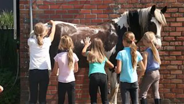KINDEREN BIJ PAARD