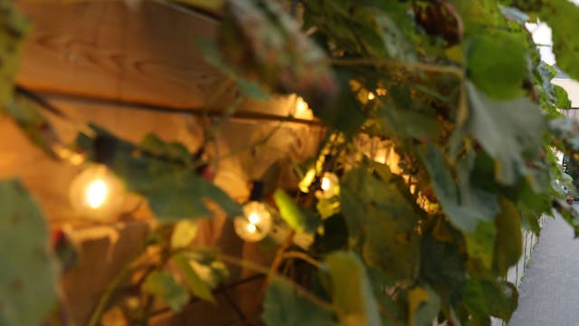 My Little Pancake Ranst